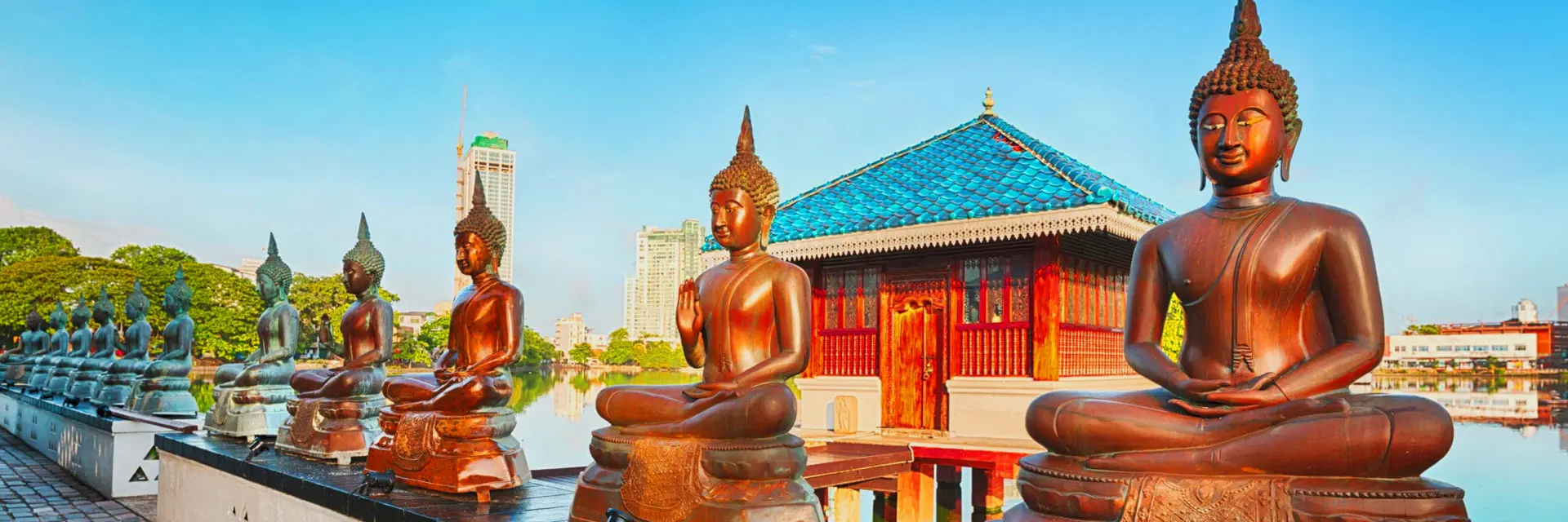 07 Nights Pearl of The Indian Ocean Private Tour Sri Lanka