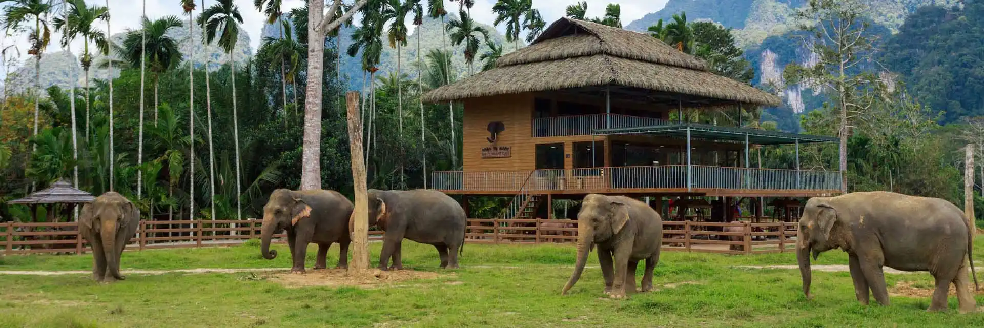 “Thai Trio Escapade: Bangkok, Phuket & Elephant Hills – Unveil the Magic”